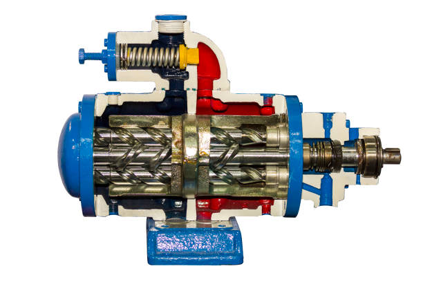 cross section detail inside screw vacuum pump for industrial isolate on white background with clipping path - screw propeller imagens e fotografias de stock