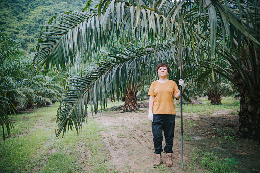 portrait Asian chinese female palm tree plantation owner working at her plantation farm