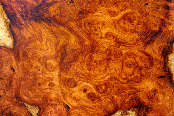 Natural Afzelia Burl Wood Stock Photo - Download Image Now - Burl