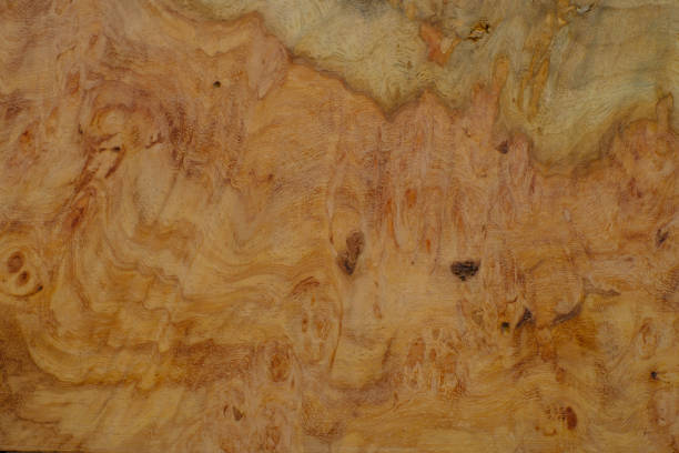 istock Natural Afzelia burl wood 1369133690