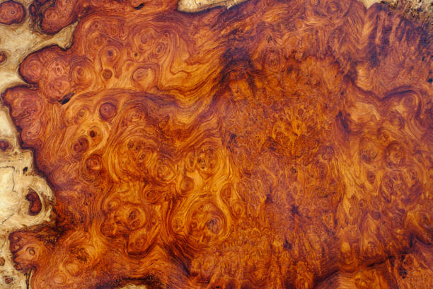 istock Natural Afzelia burl wood 1369133716