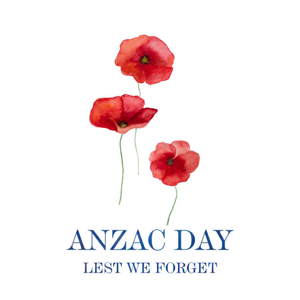 ANZAC Day. Lest We Forget. Beautiful greeting card ANZAC Day. Lest We Forget. Beautiful greeting card. Close-up, view from above. National holiday concept. Congratulations for family, relatives, friends and colleagues red poppy stock illustrations