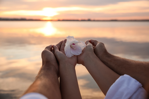 Couple with beautiful flower near river at sunset, closeup. Nature healing power