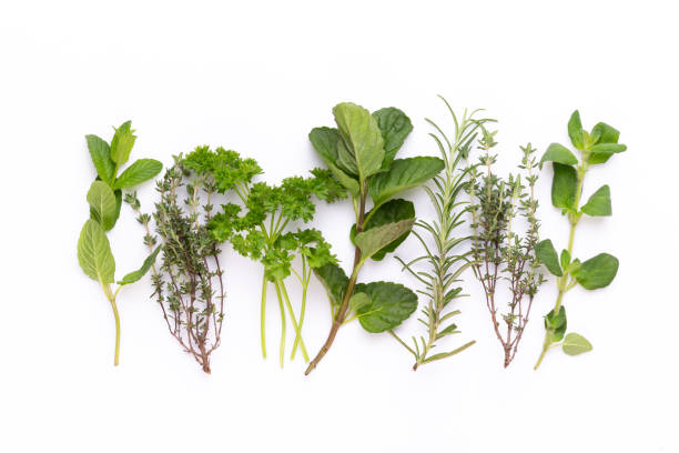 istock Herbal spice on a white background. Top view. 1369136414