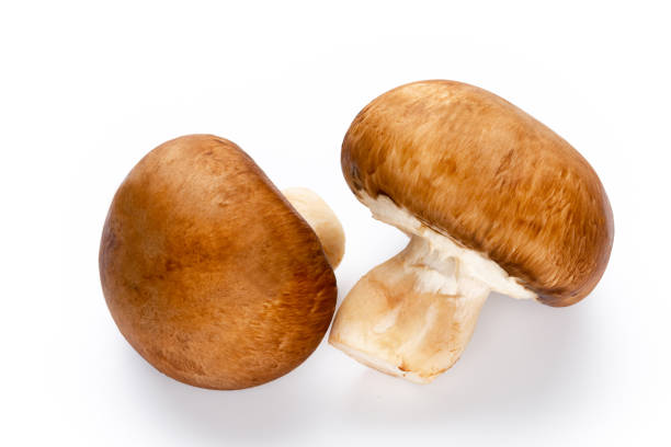 istock Fresh champignon mushrooms isolated on white. 1369136440