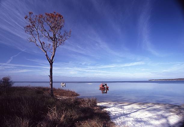 Oyster boats lie idle on the calm water of Apalachicola Bay in Florida.