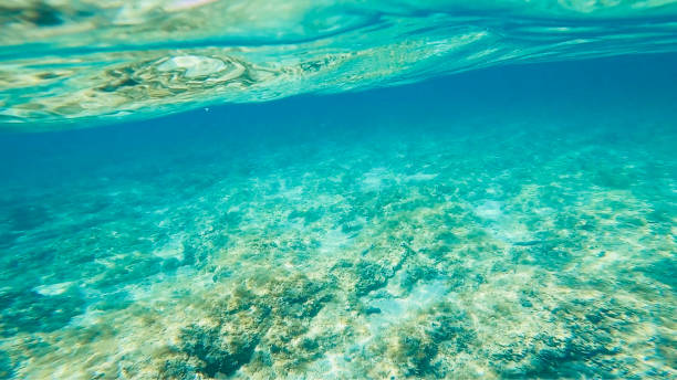 istock Abstract underwater background turquoise blue color 1369141113