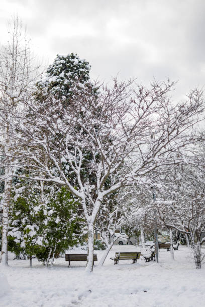 istock Beautiful winter park, trees covered with snow 1369142551