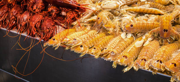 crostacei al mercato del pesce - seafood lobster paella prepared shellfish foto e immagini stock