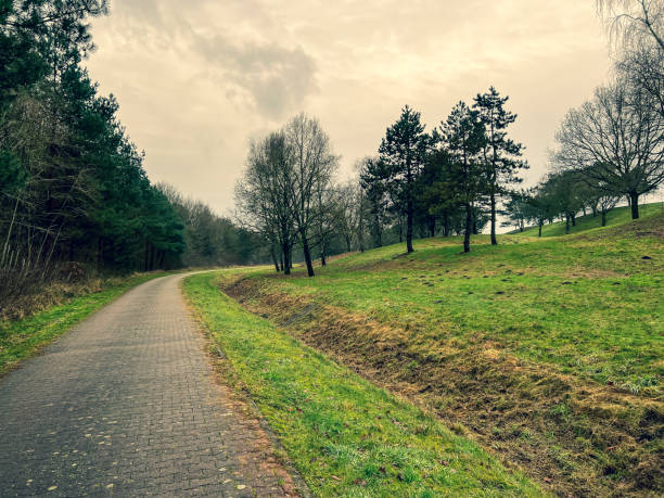 istock A path next to a forest and a meadow in winter in rainy weather. 1369143279