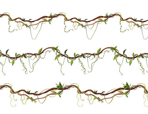 Seamless liana or vine pattern for 2d games. Jungle tropical climbing plants. Cartoon illustration.