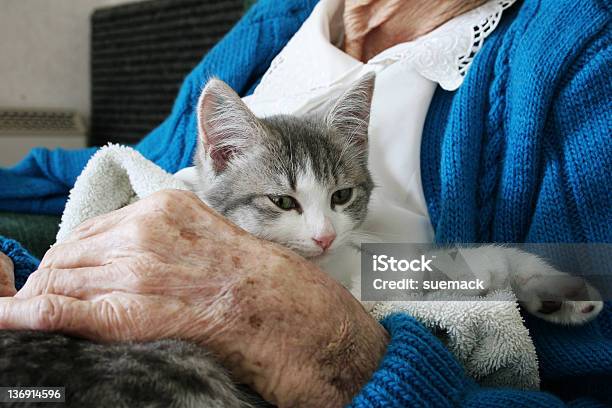 Micio Terapia - Fotografie stock e altre immagini di Terza età - Terza età, Gatto domestico, Terapia alternativa