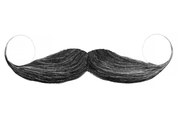 black curly mustache isolated on white - mustache imagens e fotografias de stock