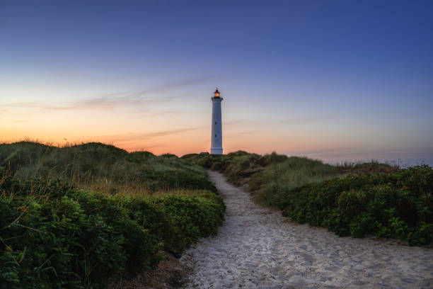 In the dunes at coastline from northsea