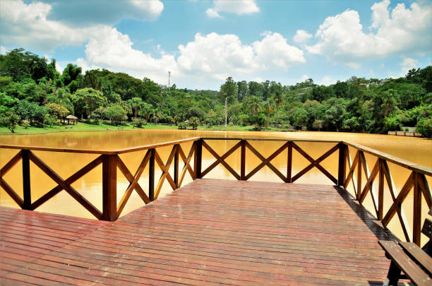 istock Beautiful wooden deck on muddy lake 1369151099