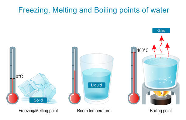 Boiling and Evaporation, Freezing and Melting Points of Water. vector art illustration