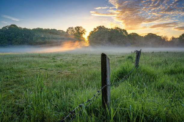 On a foggy meadow on ems in Lower Saxony with a fence in foreground Image in Panorama format lower saxony stock pictures, royalty-free photos & images