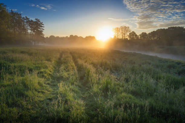 Sunrise over a foggy meadow in Lower Saxony, Germany stock photo
