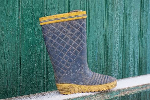 istock one old dirty yellow blue rubber boot stands on a wooden bench 1369153463