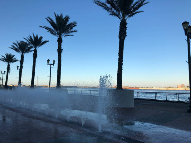 istock Water feature along New Orleans sidewalk 1369154481