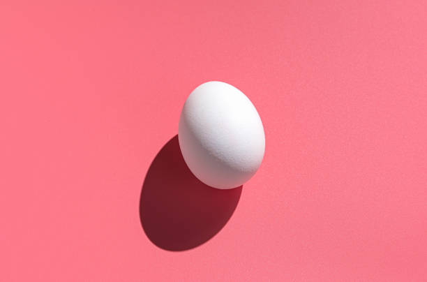 istock A white egg on a pink background with a hard shadow. Minimalistic nutrition 1369156082
