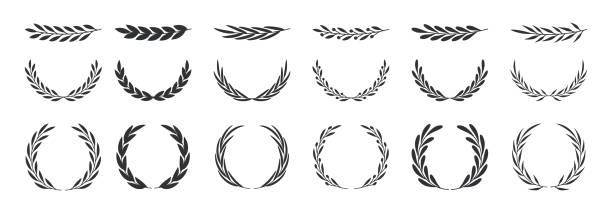 ilustrações de stock, clip art, desenhos animados e ícones de set of wreaths and branches with leaves. hand drawing laurel wreaths and branches collection. laurels wreaths, swirls, twigs and flower ornaments. herbs, flowers and plants elements. design elements. - insignia