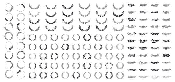 set karangan bunga dan cabang dengan daun. tangan menggambar karangan bunga laurel dan koleksi cabang. karangan bunga laurels, pusaran, ranting dan ornamen bunga. herbal, bunga dan elemen tanaman. elemen desain. - pohon zaitun ilustrasi stok