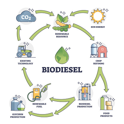 Biodiesel fuel life cycle explanation with all usage stages outline diagram. Labeled educational renewable ecological gas production using crop refining vector illustration. Green alternative energy.