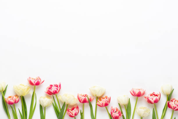 istock Spring flowers tulips on pastel colors background. Retro vintage style. 1369159565
