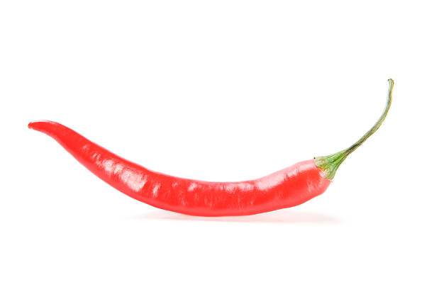 Red   chilly pepper  on white background stock photo