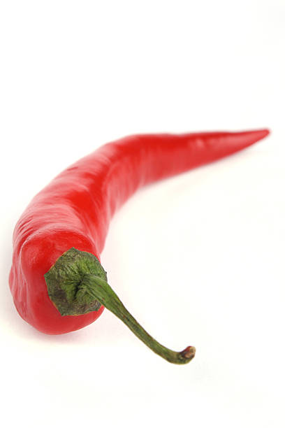 Red chili pepper stock photo