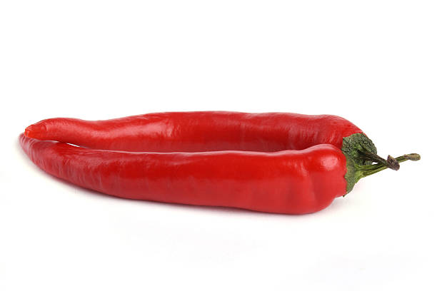 Red chili pepper stock photo