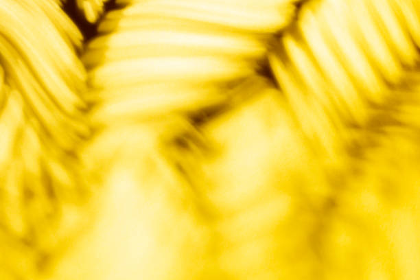 istock Palm leaves and shadows on a color wall background. 1369160880