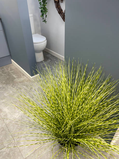 Stock photo showing close-up view of modern, cloakroom with white, ceramic dual button flush toilet. imagen de la planta de césped artificial en maceta, pared gris, guardarropa moderno con inodoro blanco, inodoro con doble botón, decoración de pared colgante de mimbre en forma de corazón, hiedra artificial, piso de baldosas de piedra natural