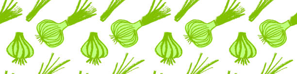 ベクトルオニオンパターンシームレス。緑のラッキョウのイラスト。ビーガンレストランの装飾品、ベジタリアンの背景。 - chive onion spring onion garlic点のイラスト素材／クリップアート素材／マンガ素材／アイコン素材