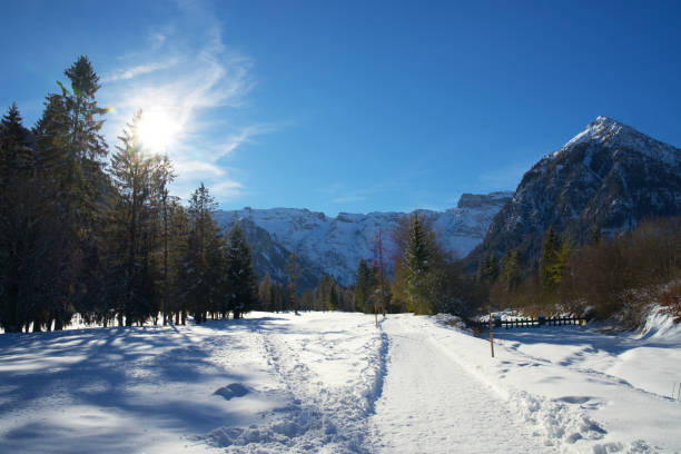 istock snow-covered road surrounded by pine trees on a sunny winter day 1369164340