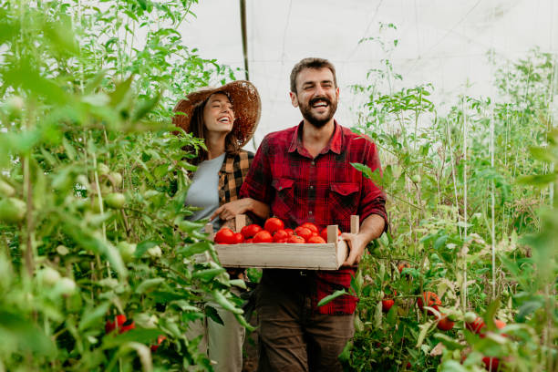 istock Loving our new small business, made first for ourselves 1369164676