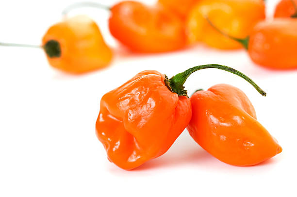 istock Habanero Peppers 136916579