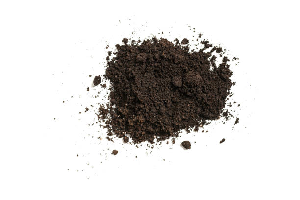 istock Black land for plant isolated on white background. 1369166176