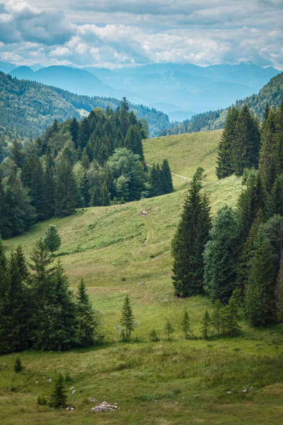 istock Grassland valley in the mountains 1369168247