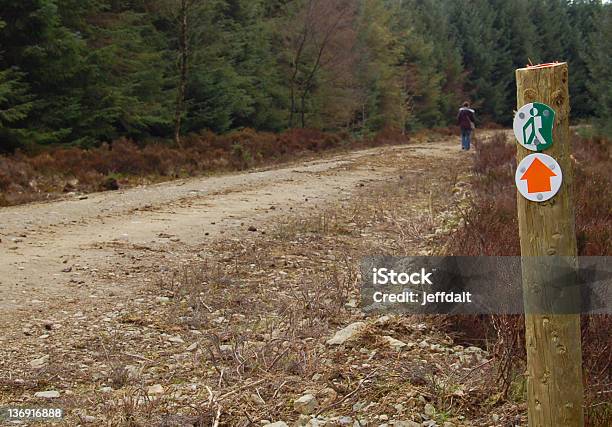 Floresta Câmara 1 - Fotografias de stock e mais imagens de Adulto - Adulto, Andar, Ao Ar Livre