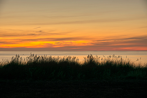 silhouette of dune grass against the sea and the rising sun, Hvidbjerg, Denmark, September 12, 2021
