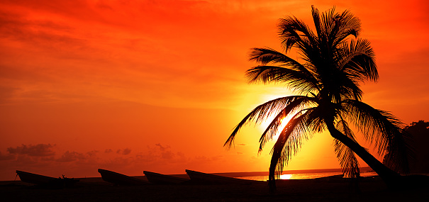 Sunset, sunrise on beache, palm tree, boats. Mexico, Playa La Ventanilla