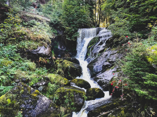 Triberg waterfalls - Germany