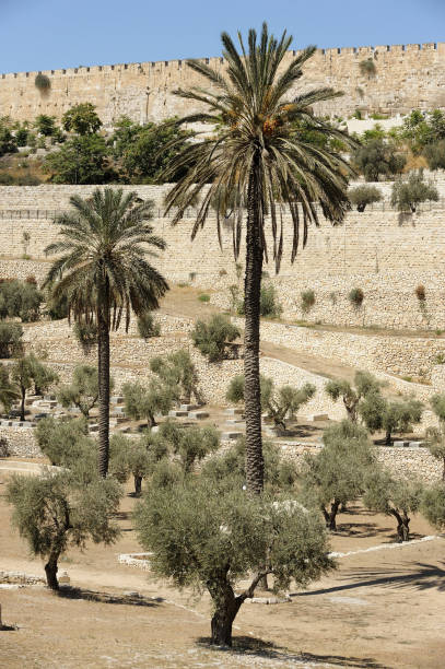 Jerusalem Jerusalem, view of the old city from the Mount of Olives kidron valley stock pictures, royalty-free photos & images