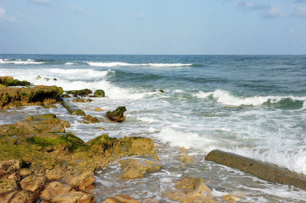 istock Mediterranean Coast Israel 1369171867