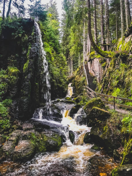 istock A small stony river with waterfalls in the Black Forest. 1369172032