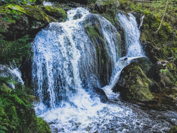 istock A small stony river with waterfalls in the Black Forest. 1369172171
