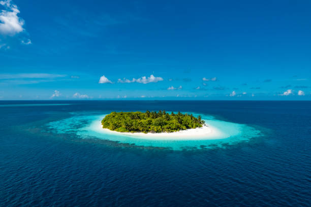 isla tropical aislada en medio del océano - área silvestre fotografías e imágenes de stock