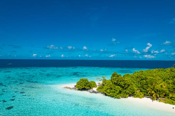 Aerial drone view of tropical island with coral reef in ocean Aerial drone view of tropical island with coral reef in ocean indian ocean stock pictures, royalty-free photos & images